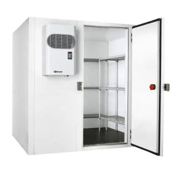 Stainless Steel Freezers: Preserving Meat, Food, and Fruits