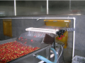 zakład przetwarzania dżemu pomidorów