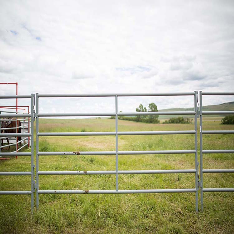 (High strength) Galvanized Flexible Rail Horse Fence