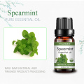 Sabuni ya Massage ya Diffuser kutengeneza mafuta muhimu ya Spearmint