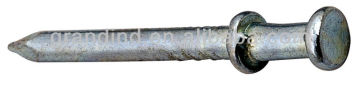 1009 Nail