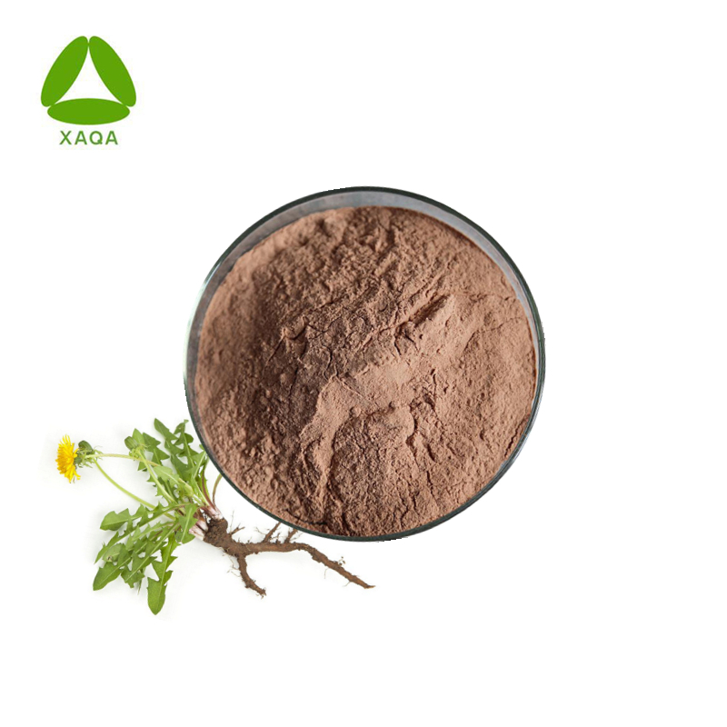 Instant Herbal Tea Dandelion Root Extract Powder