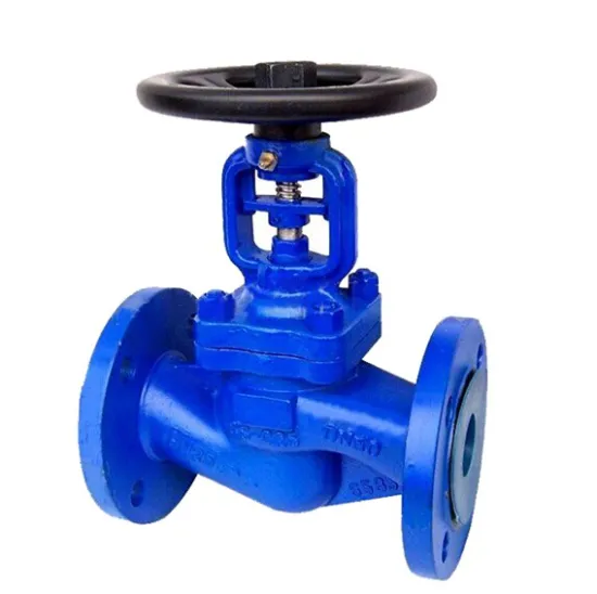 DN60 Double Bellow Seal Globe Valve