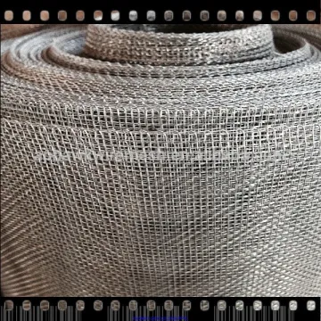 electro galvanized square wire mesh 2x2