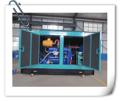 Biomass Gasifier With Biomass Generator