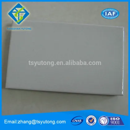 Acid Resistant Ceramic Brick