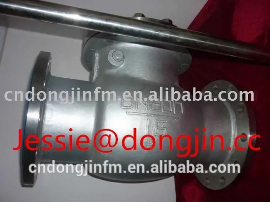 DIN check valve