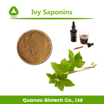 Ivy Leaf Extract Hederacoside C 10% Powder