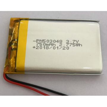 Batterie de polymère d&#39;ion de lithium de 3,7 volts 750mAh (LP3X4T5)