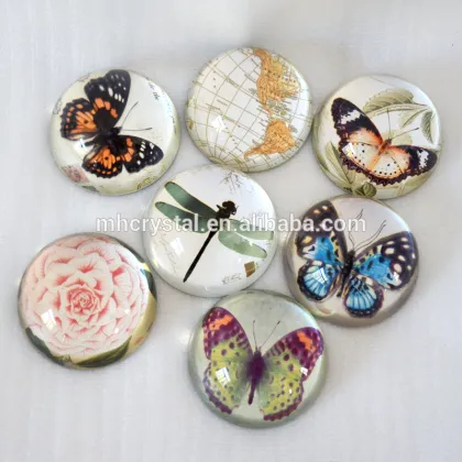 Butterfly Glass dome paperweight MH-F0524