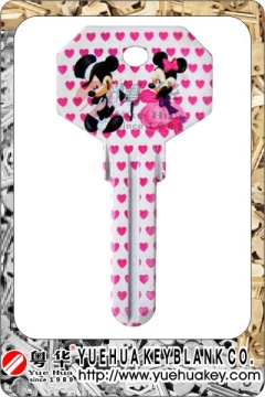 2015 Fashion Products Custom Design Groovy Key Blank Door/Customize House Key