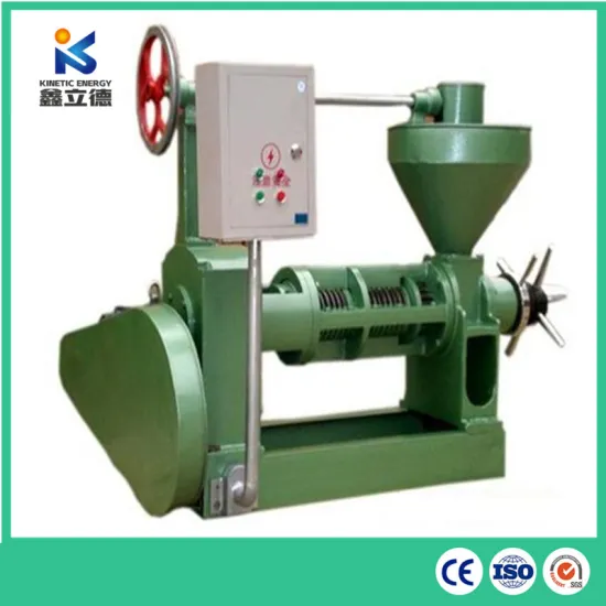 Popular Cold Press Black Cumin Oil Machinery Vegetable Oil Extract Press Avocado Oil Extraction Machine
