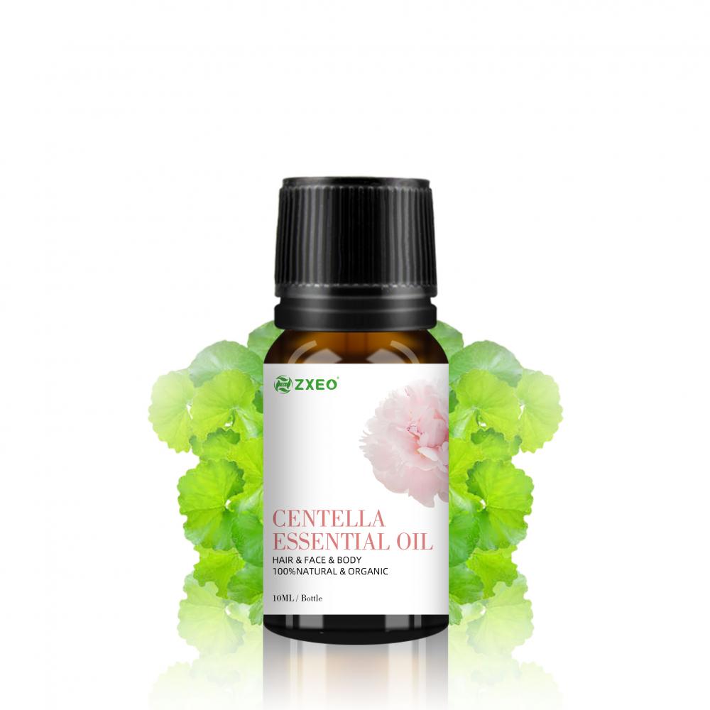 Soins de la peau de haute qualité Organique 100% pure Centella asiatica Asiatica Essential Huile pour le cosmétique