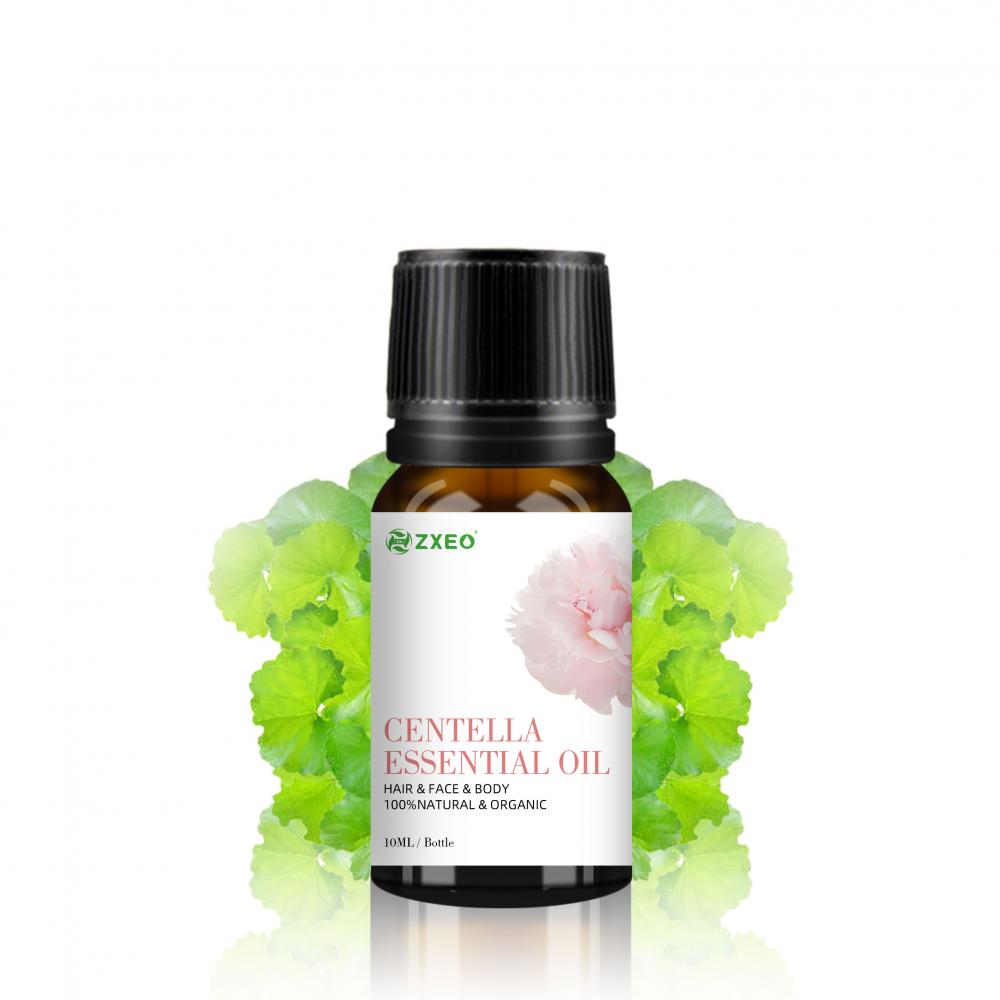 Cuidados com a pele de alta qualidade Organic 100% puro Centella Asiatica Óleo Essential para Cosmético