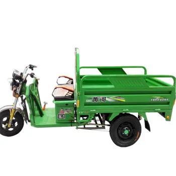 Hot Selling Cheap Adult Three-Wheeled Electric Motorcycle for Quality Assurance