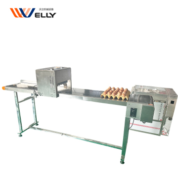 Laser Inkjet Eggs Printing Machine Price with Factory Direct Supply and Expiry Date