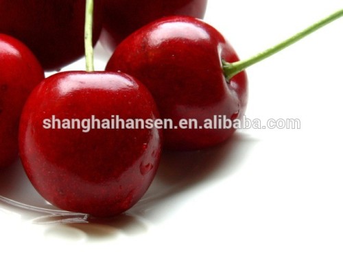 Import Agent of USA Cherries for Customs Clearance
