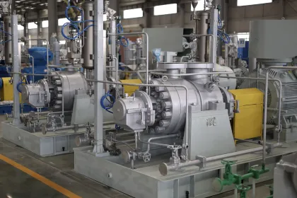 Search Engine Title: NGL Reinjection Pump for Gazprom GPP Project: Optimizing Light Hydrocarbon Handling