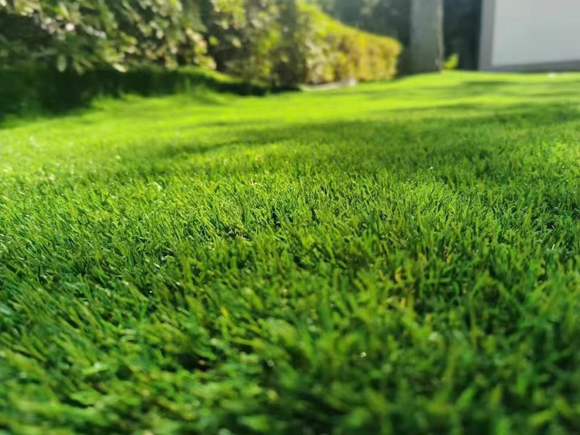 1686018427383784-0-rate