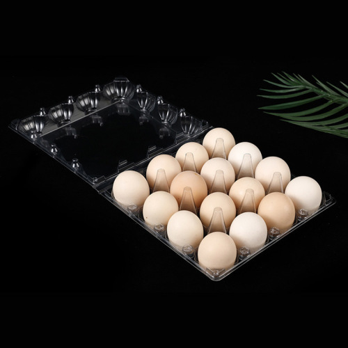 30 Holes Egg Box Blister Plastic Egg Tray