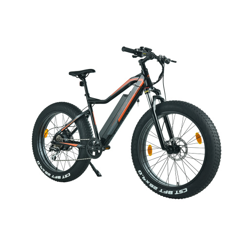 XY-CHAMPION Hybrid 29 Zoll Elektrofahrrad