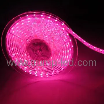 flex smd led strip 5050 waterproof
