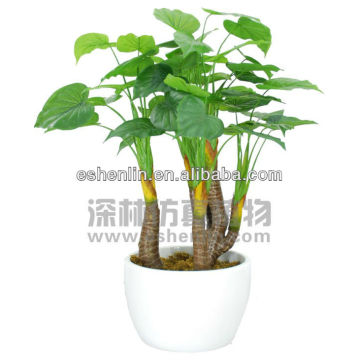 shenlin lifelike indoor ornamental plants,artificial silk plants