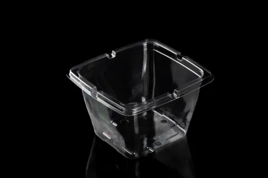 Clear Round Plastic Containers with Lids