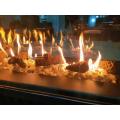 Directly Factory Price Gas Fireplace Insert