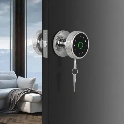 Smart Tuya Deadbolt Electronic Silver Knob Door Lock
