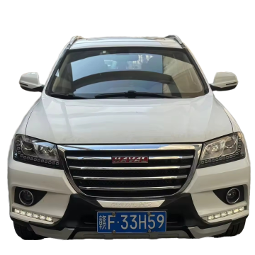 SUV famosi usati Haval: Haval H2 City Red Label 1.5T Gasoline 2016