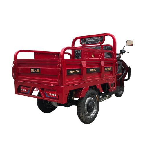 environmentally friendly Electric trike 60V1200W
