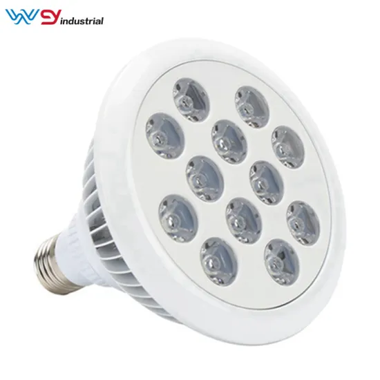 Collagen Boosting 36W LED Red Light Therapy Bulb