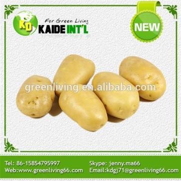 Health Food Fresh Potato