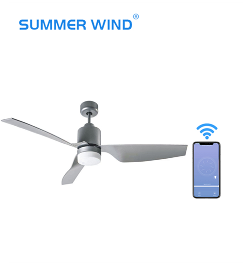 Decorative room WIFI ceiling fan light