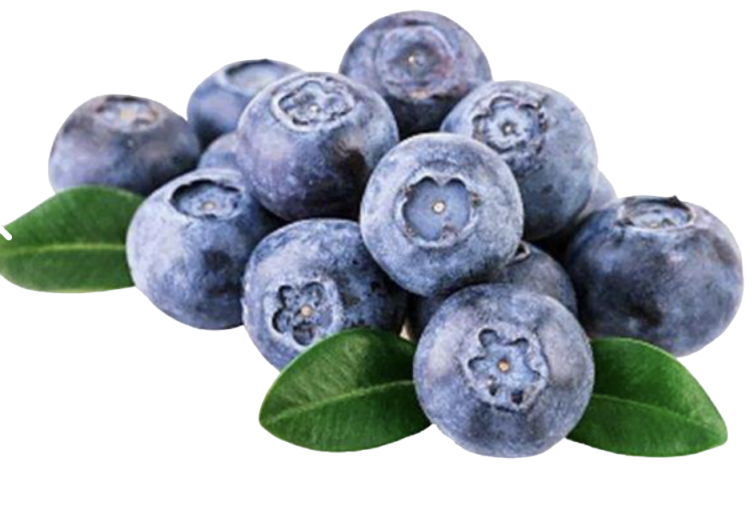 Proanthocyanidins Red Powder