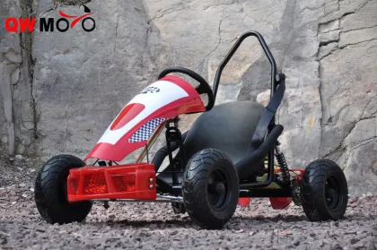 Mini Go Kart quad bike 49cc Go Kart with Pull/Electric Start Go Kart QWMOTO