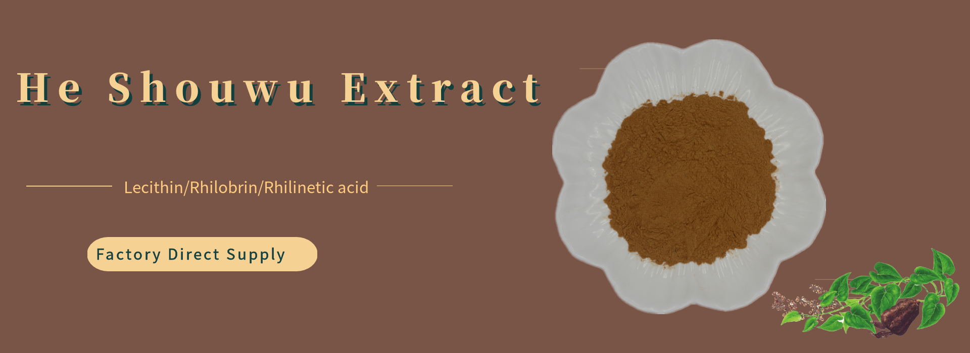 he shou wu extract (2)