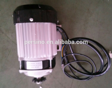 high power 36v 48v 60v 72v 1000w brushless dc motor