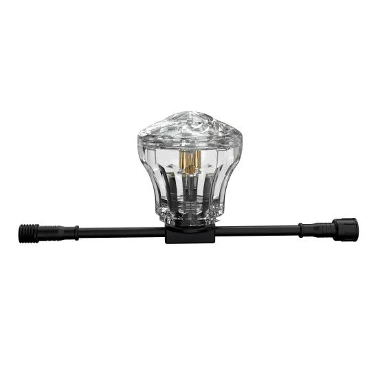 Chameleon LED E14 24V Amusement Park Pixel Lights