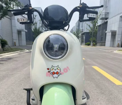 Electric passenger tricycle Cargo Electric Vehicle