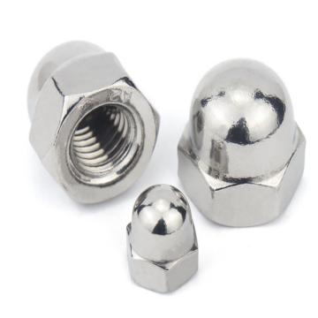 Stainless Steel High Quality Custom Cap Nut