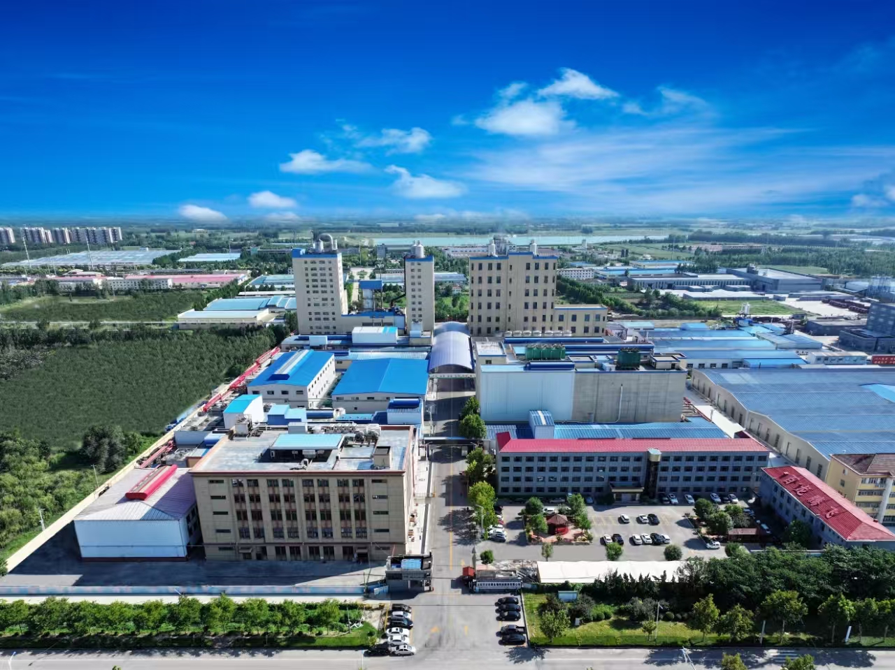 مصنع إنتاج الأليلوز السائب للمشروبات bulk allulose production factory for beverages