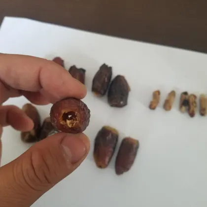 Jujube Date Pit Removing Machine: Dates Seed Remover Cutting Machine