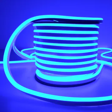 Flex 110v LED Neon Lighting
