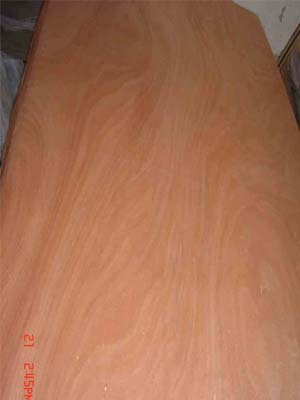 Rotary cut Okoume veneer