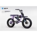 Ebike Мощные электрические циклы Rocky