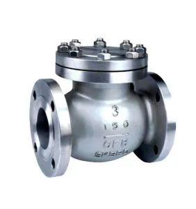 What is a check valve