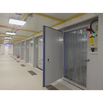 Storage chambers cold room walk in freezer for fresh vegetables and fruit