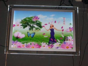 Crystal Light Box (Cable Suspended)